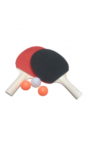 PALETAS DE PING PONG  por mayor