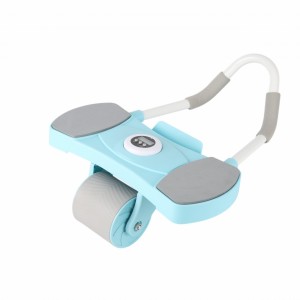 RUEDA ABDOMINAL PRO C/SOPORTE P/TEL+CO MS-2256 por mayor